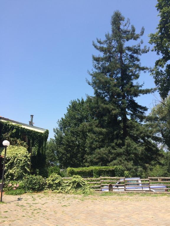 Fattoria Sequoia Bed & Breakfast Castagneto Po Exterior photo